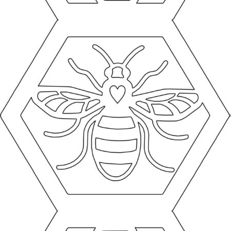 Honeycomb and Bee Set
