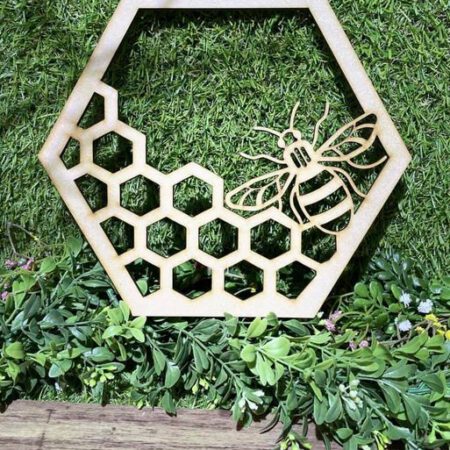 Hexagon with Honeycomb & Bee
