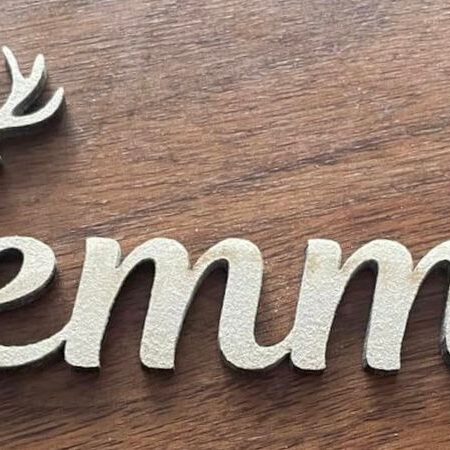 Antler Name Place Settings