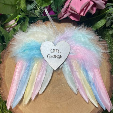 16 x14CM Rainbow Baby Angel Wings