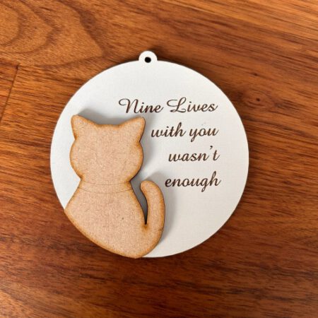 Nine Lives wasn't enough hanger