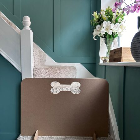 Doggy Stair Stopper (sausage stopper)