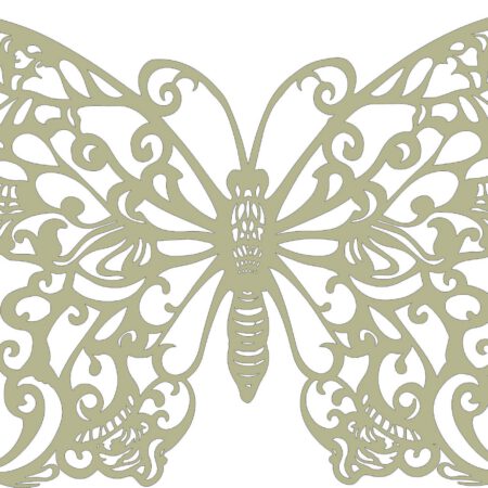 Beautiful Delicate Butterfly