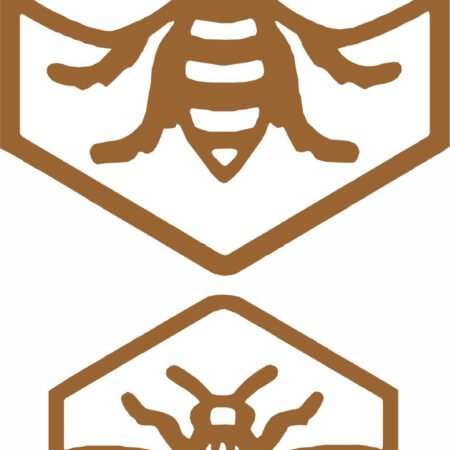 Bee in Hexagon