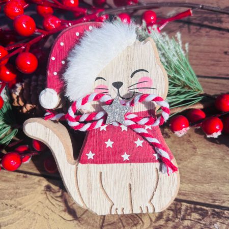 Cat with fluffy hat