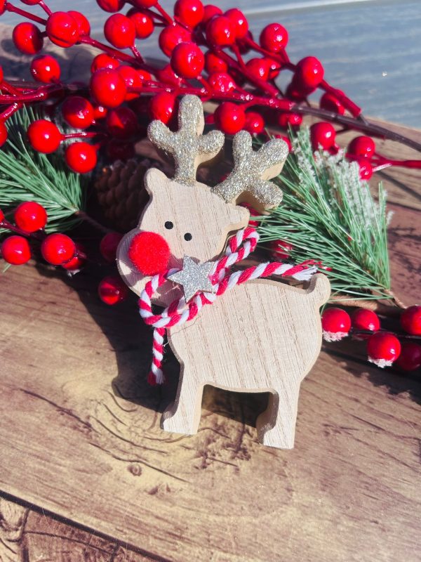 Super Cute Red Nose Reindeer - Image 2