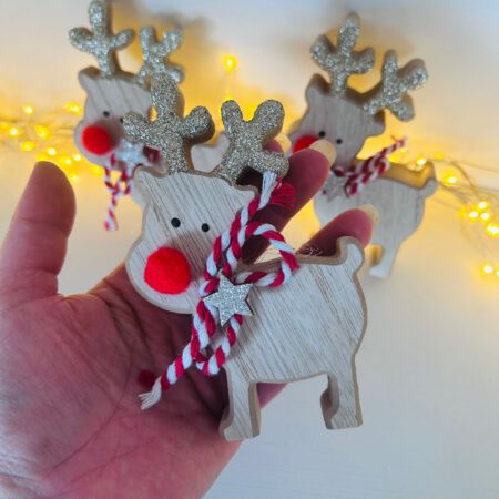 Super Cute Red Nose Reindeer