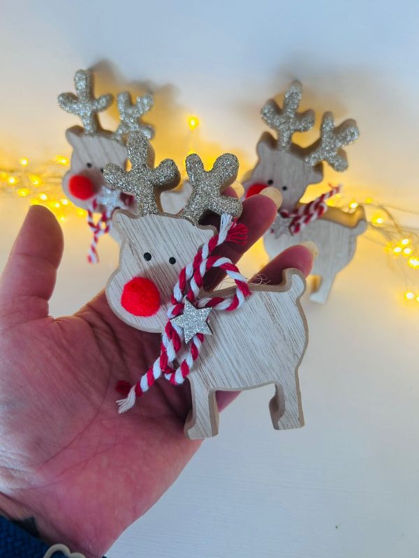 Super Cute Red Nose Reindeer