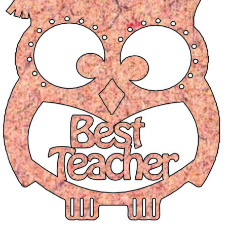 CUTE TEACHER OWL