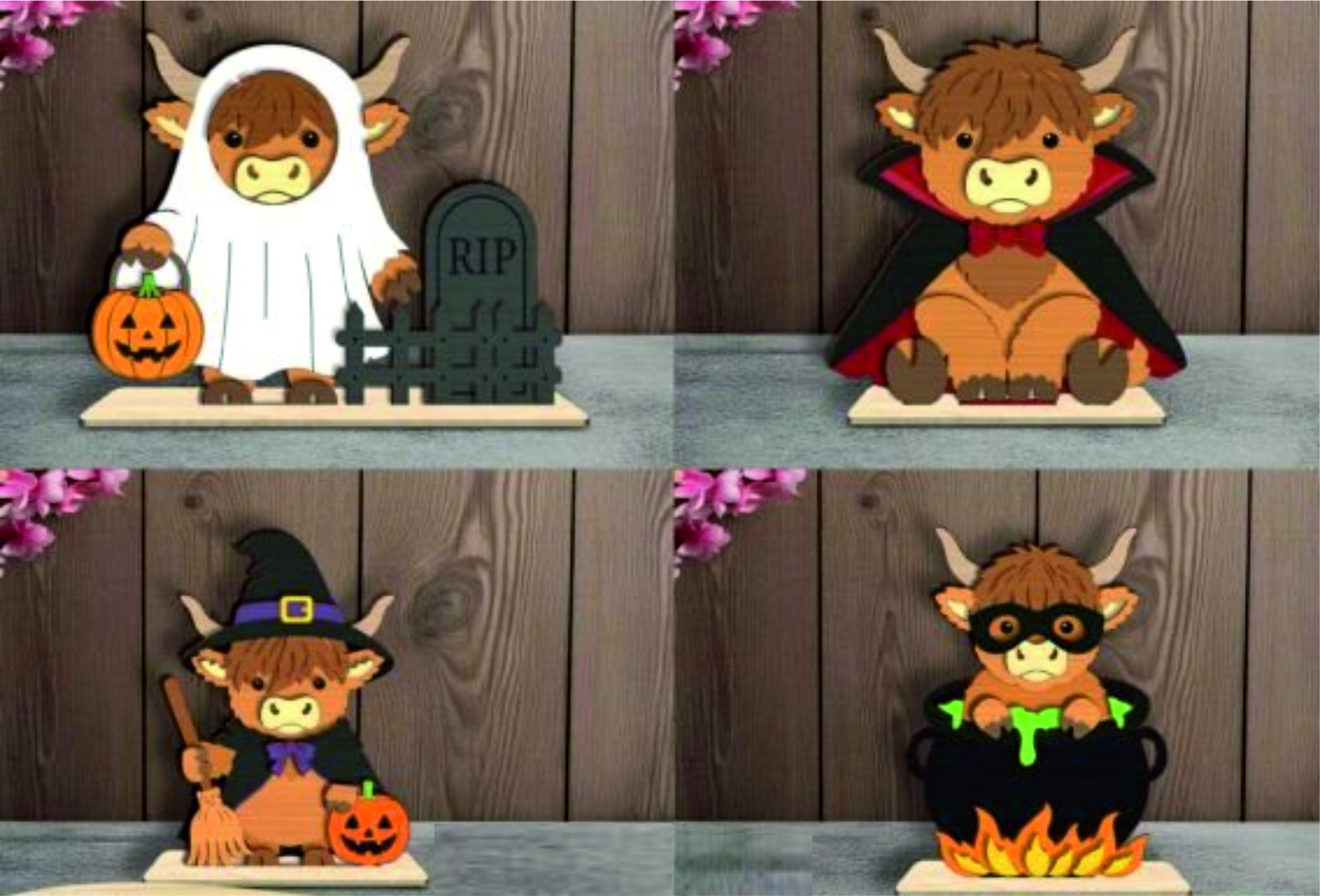 Halloween Highland Cows